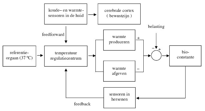 Het temperatuur regulatie systeem