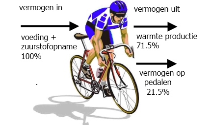 Cycling Efficiency | Gross Mechanical Efficiency