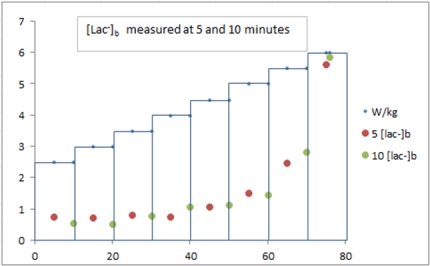 Maximale Lactaat Steady State