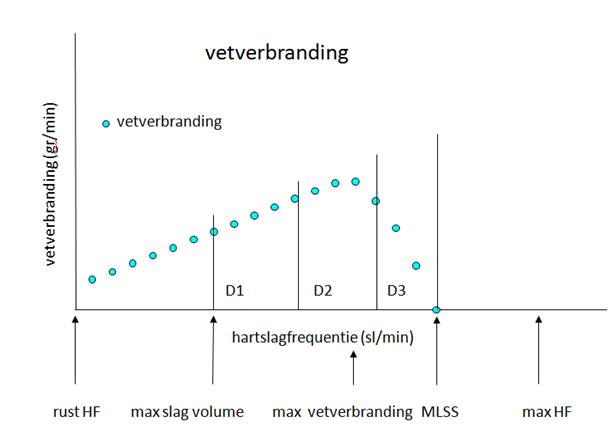 Intensiteit van inspanning en hoogte van de vetverbranding Intensiteit van inspanning en hoogte van de vetverbranding