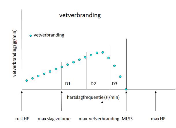 Intensiteit van inspanning en hoogte van de vetverbranding