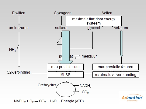 Metabole wegen met betrekking tot de energievoorziening