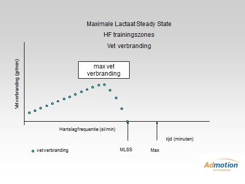 Maximale vetverbranding