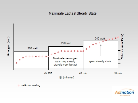 Maximale Lactaat Stready State